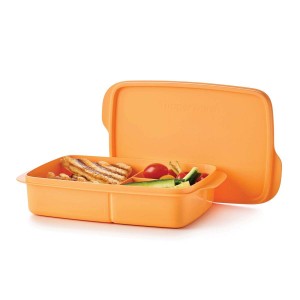 Tupperware Eco+ Lunch-it Large Container sOrange Taffy Lunch and Snacks | NIJZK6085