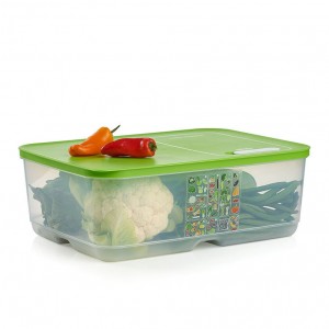 Tupperware Fridgesmart Extra Large Lettuce Leaf Refrigerator Storage | DRJHU1847