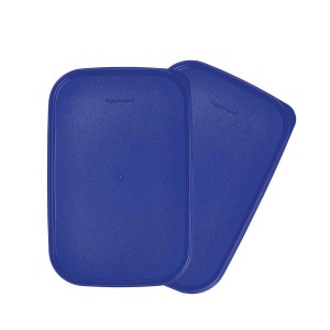 Tupperware Modular Mates Rectangular Seals Dry Storage | XTNSE0816
