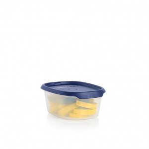 Tupperware One Touch Fresh Oval 2 1/4-cup/540 Ml Nocturnal Sea Refrigerator Storage | WUMVK8704