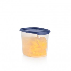 Tupperware One Touch Fresh Oval 4 1/2-cup/1.1 L Nocturnal Sea Refrigerator Storage | MYDXW8637