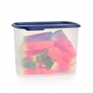 Tupperware One Touch Fresh Rectangular 18 1/2-cup/4.4 L Nocturnal Sea Refrigerator Storage | IMJZS3214