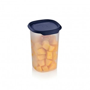 Tupperware One Touch Fresh Small Square 5 1/4-cup/1.25 L Nocturnal Sea Refrigerator Storage | VTLES4839