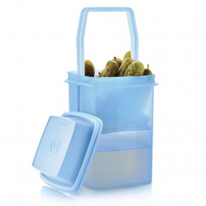 Tupperware Pick-a-deli Container Sheer Ice Cube Refrigerator Storage | IMFAC5746