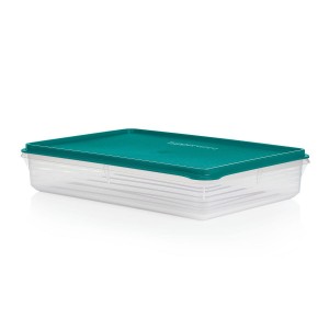 Tupperware Snack-stor Large Container Green Refrigerator Storage | CWQOG7302