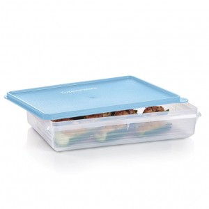 Tupperware Snack-stor Large Container Ice Cube Refrigerator Storage | SBXNI1603
