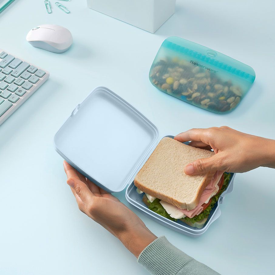 Tupperware Eco+ Sandwich Keepers White / Blue Lunch and Snacks | QOMWG8139
