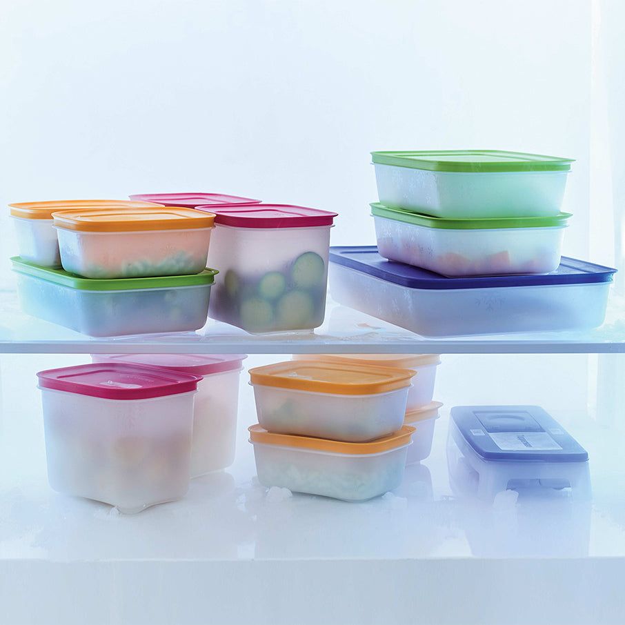 Tupperware Freezer Mates Plus Large Shallow Freezer Storage | NZQPG1309