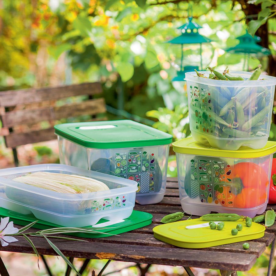 Tupperware Fridgesmart 4-pc. Starter Set Green / Deep Refrigerator Storage | NGAZJ6730