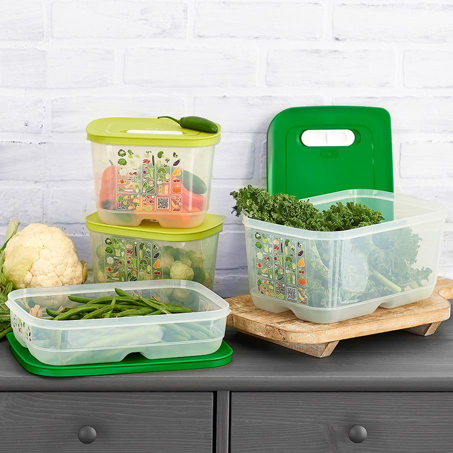 Tupperware Fridgesmart 4-pc. Starter Set Green / Deep Refrigerator Storage | NGAZJ6730