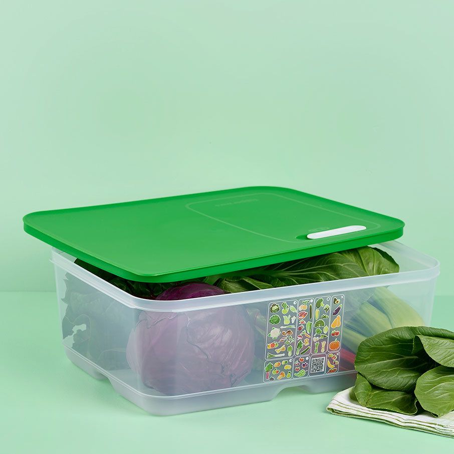 Tupperware Fridgesmart Extra Large Lettuce Leaf Refrigerator Storage | DRJHU1847