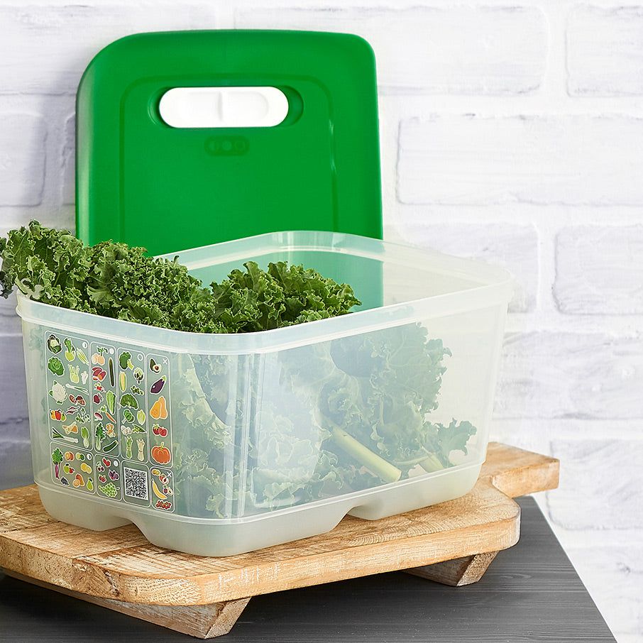 Tupperware Fridgesmart Medium Deep Green Refrigerator Storage | TARGJ9285