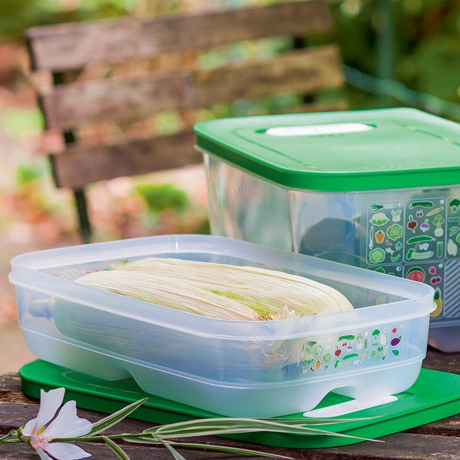 Tupperware Fridgesmart Medium Green Refrigerator Storage | RHCQU3027