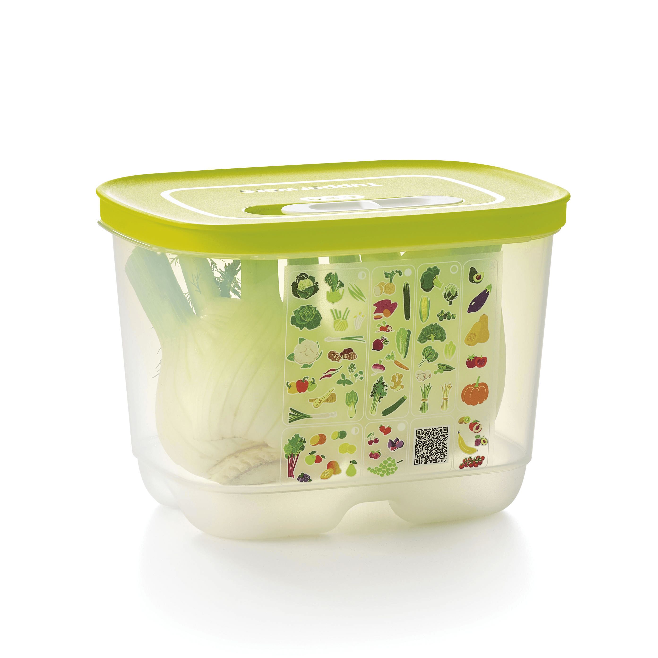 Tupperware Fridgesmart Small Deep Refrigerator Storage | GSRZW2341