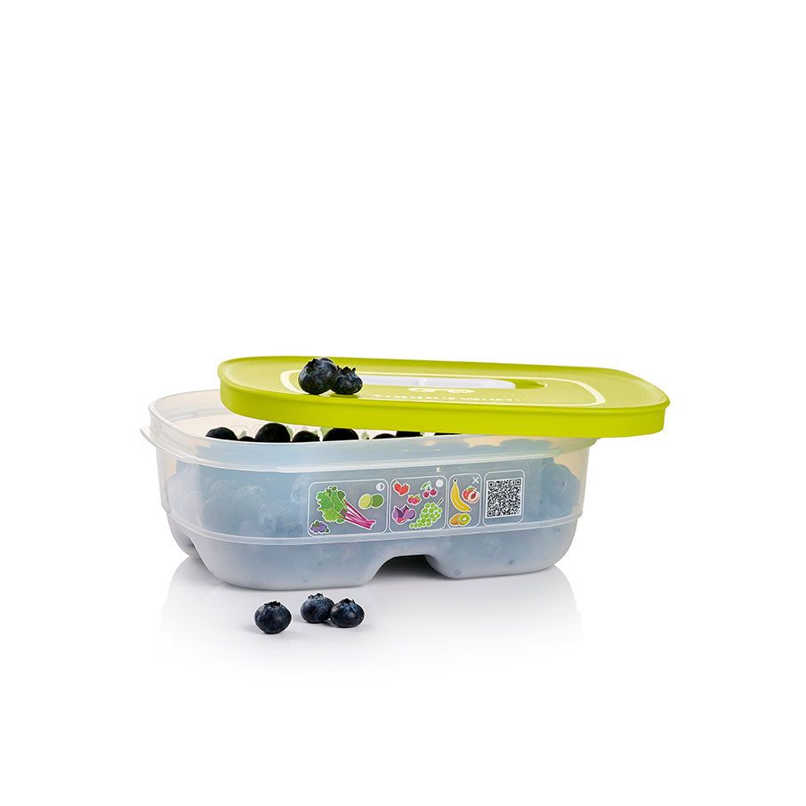 Tupperware Fridgesmart Small Margarita Refrigerator Storage | UVNAT6053