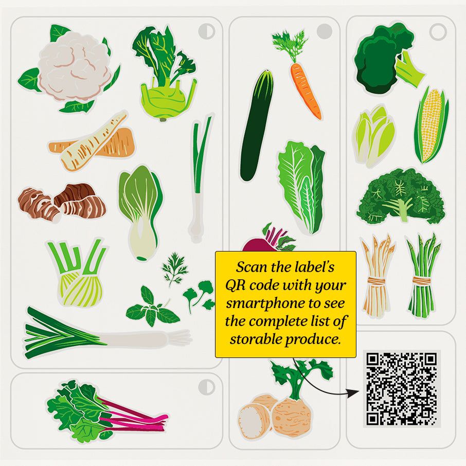 Tupperware Fridgesmart Vertical Green Refrigerator Storage | OGSCL9852