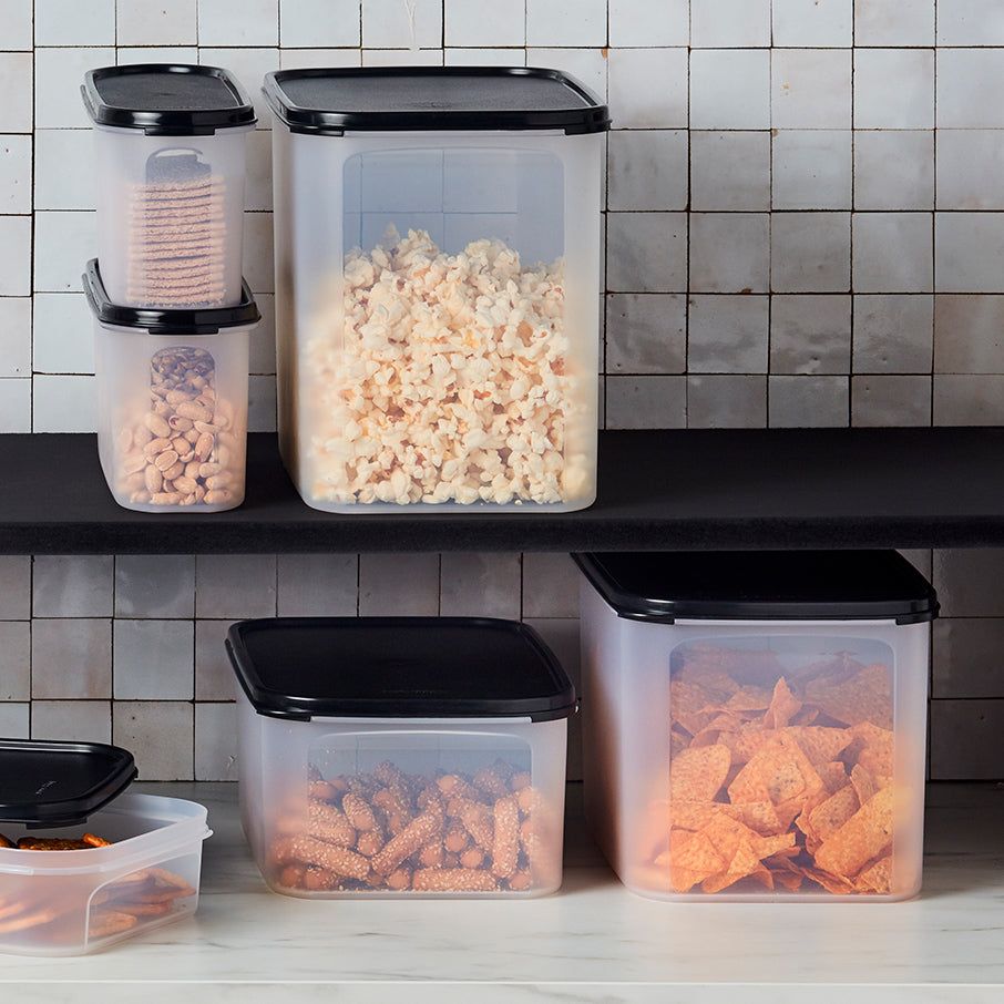Tupperware Modular Mates Rectangular 2 Dry Storage | UFNXJ4786