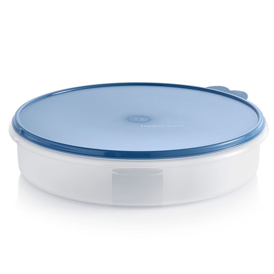 Tupperware Round Container Dragonfly Freezer Storage | BQYTG5870