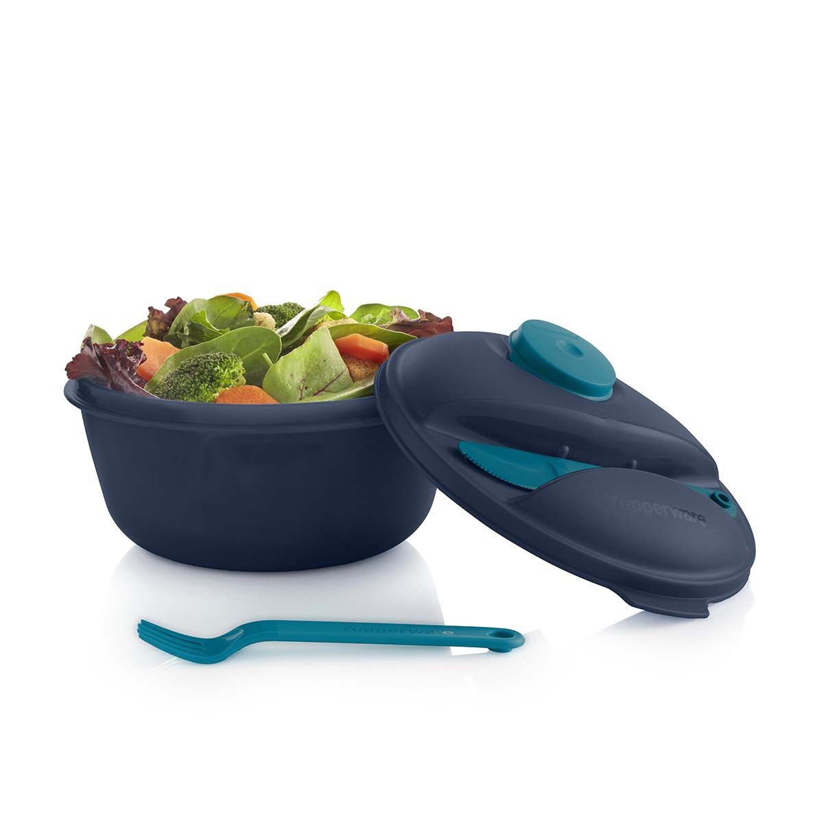 Tupperware Salad On The Go Set Peacock Lunch and Snacks | AXHJD3250