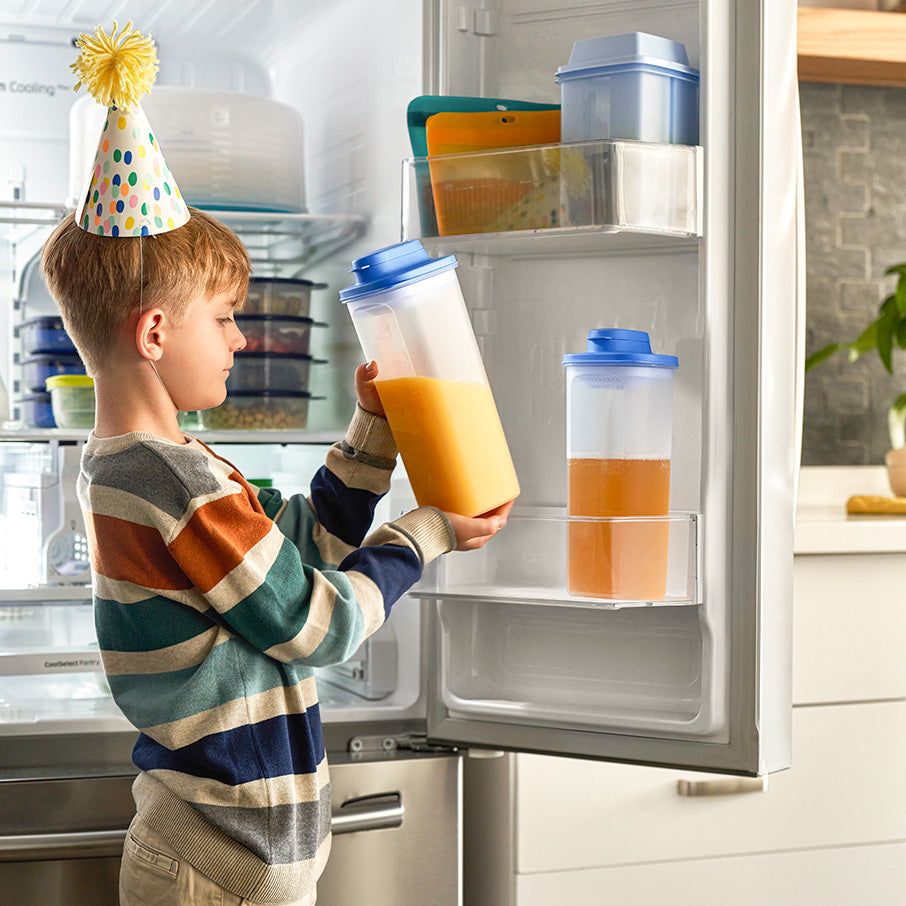 Tupperware Slim Line Pitcher With Strainer Set Dragonfly Refrigerator Storage | LQVGU7648