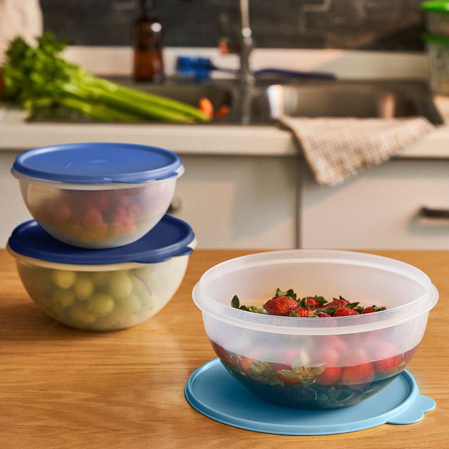 Tupperware Wonderlier Bowl 3-pc. Set sIce Cube Baking | GEMYD2371
