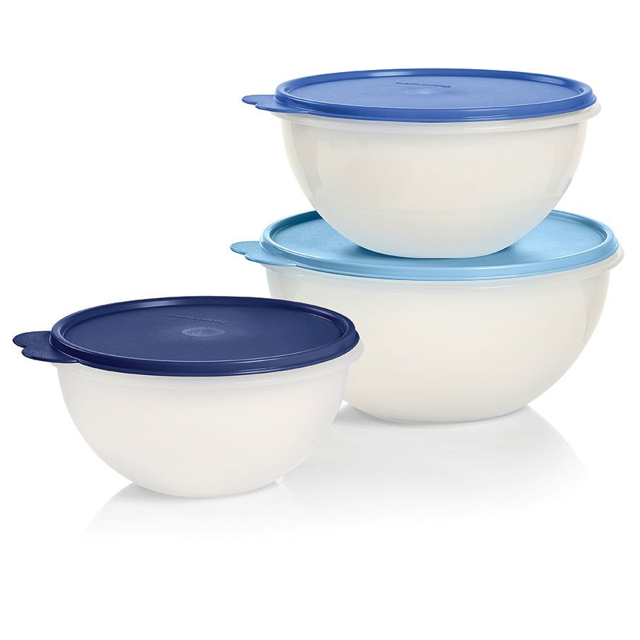 Tupperware Wonderlier Bowl 3-pc. Set sIce Cube Refrigerator Storage | UNTJG7304
